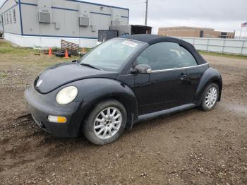  Salvage Volkswagen Beetle