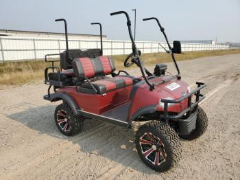  Salvage Golf Cart