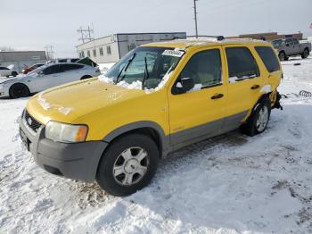  Salvage Ford Escape