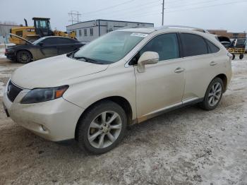  Salvage Lexus RX