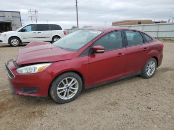  Salvage Ford Focus