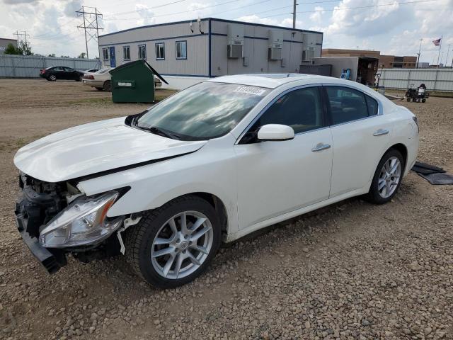  Salvage Nissan Maxima
