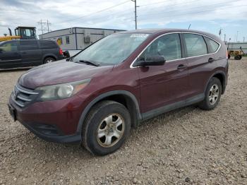  Salvage Honda Crv