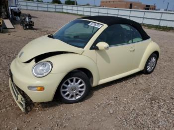  Salvage Volkswagen Beetle