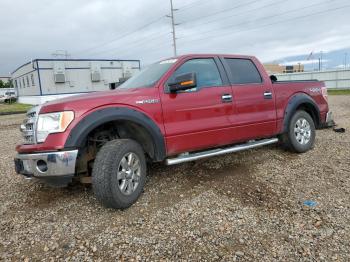  Salvage Ford F-150