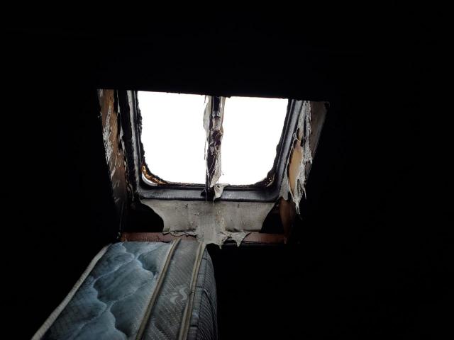 Keyst Cougar Image 8