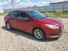 Ford Focus Se Image 10