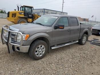  Salvage Ford F-150