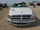 Dodge Dakota Image 4