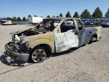  Salvage Ford F-150
