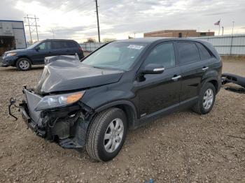  Salvage Kia Sorento