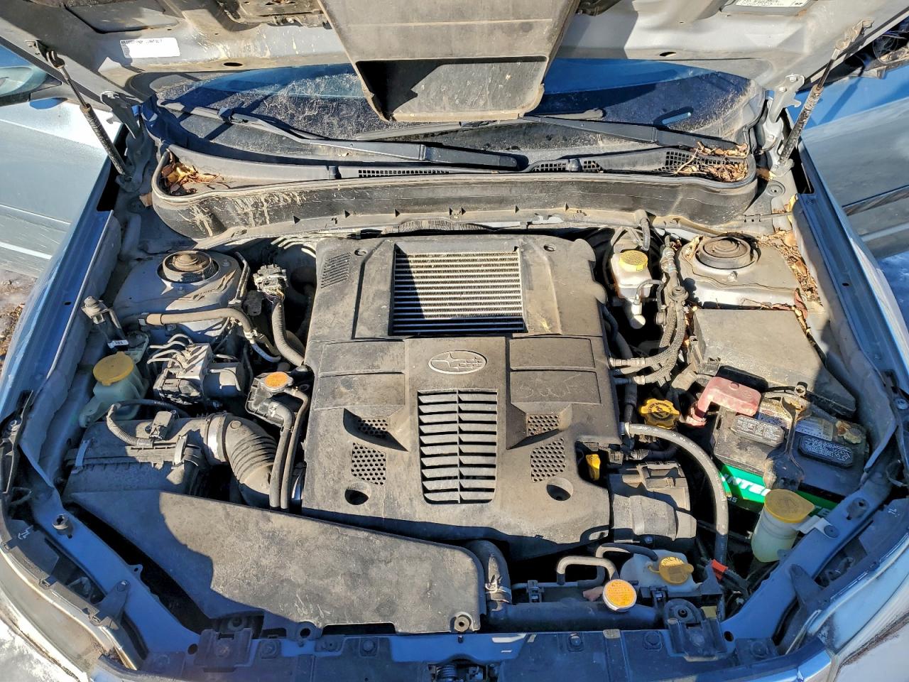 Subaru Forester Touring Image 3