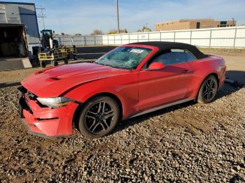  Salvage Ford Mustang