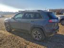 Jeep Cherokee Trailhawk Image 2