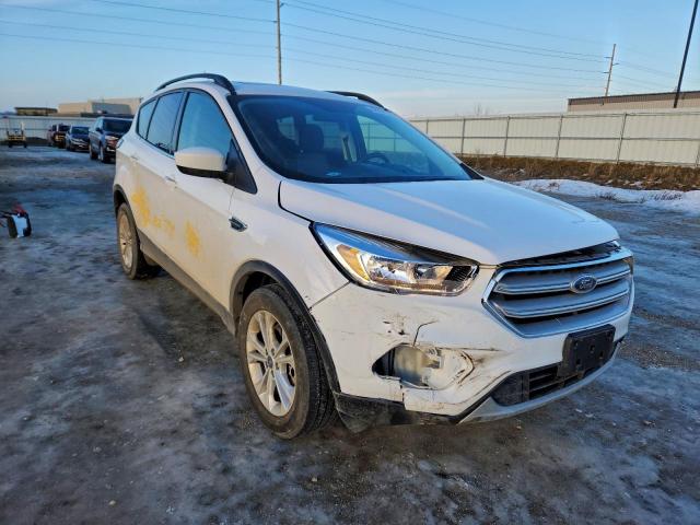 Ford Escape Se Image 8