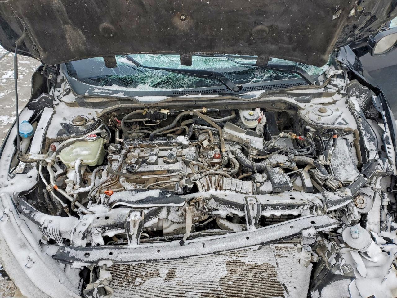 Honda Civic Ex Image 10