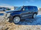 Cadillac Escalade Platinum Image 1