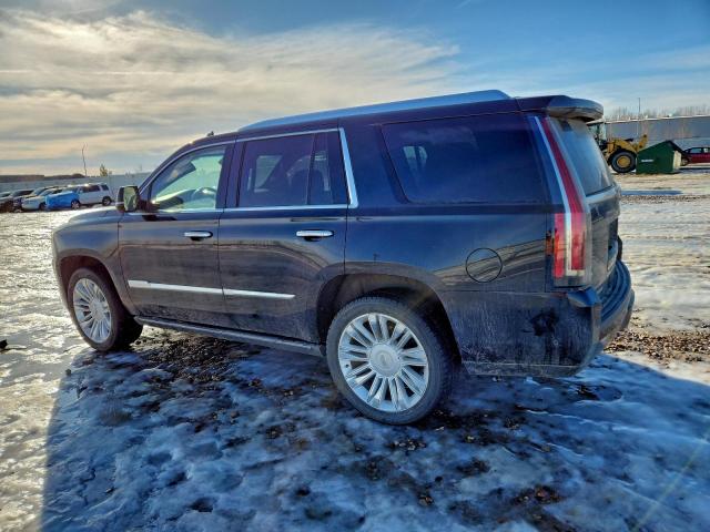 Cadillac Escalade Platinum Image 3