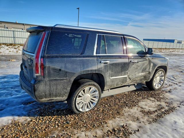 Cadillac Escalade Platinum Image 2