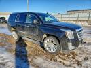 Cadillac Escalade Platinum Image 7