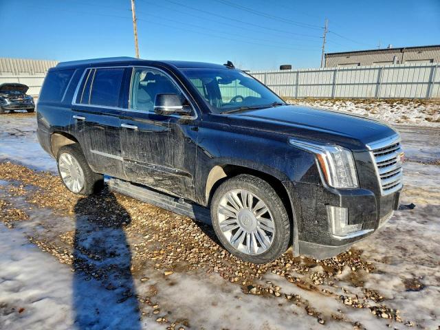 Cadillac Escalade Platinum Image 7