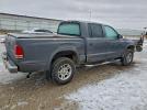 Dodge Dakota Quad Slt Image 4