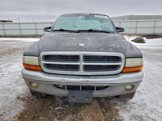 Dodge Dakota Quad Slt Image 6