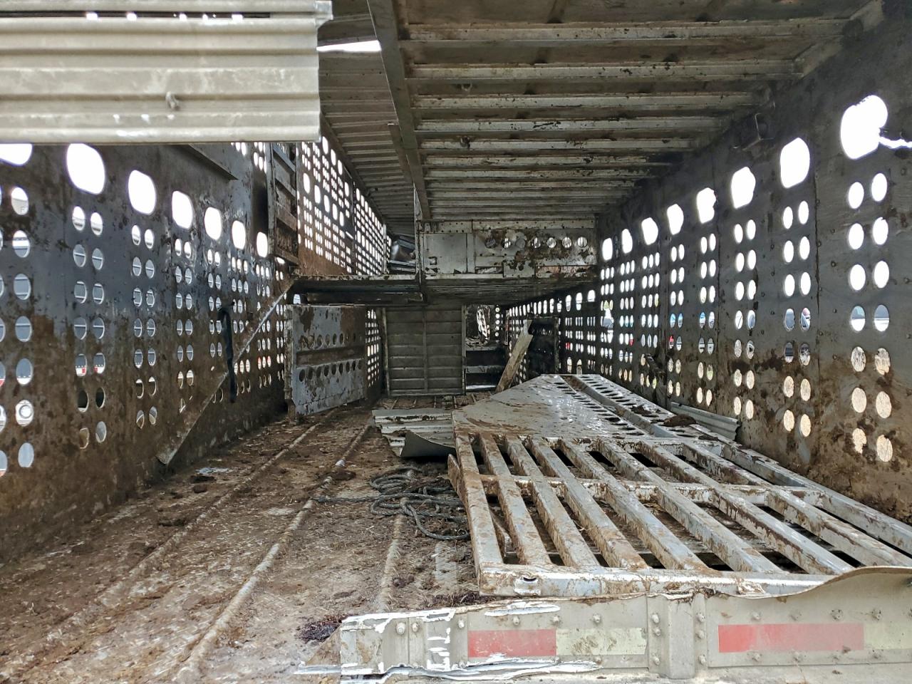 Merritt Livestock Image 10