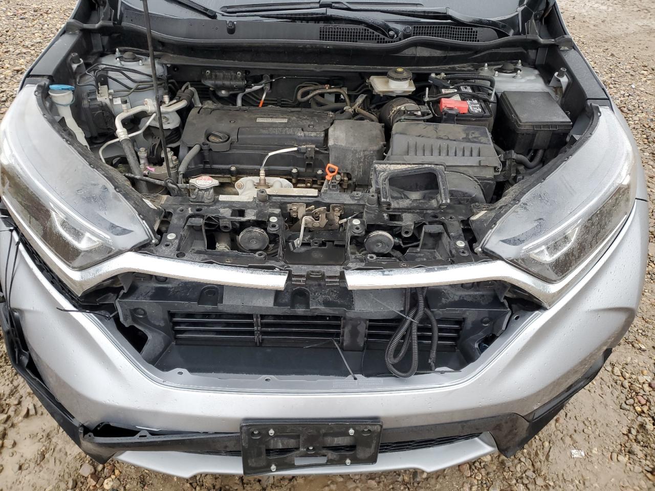 Honda Crv Lx Image 7