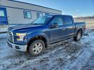 Ford F-150 Supercrew Image 1